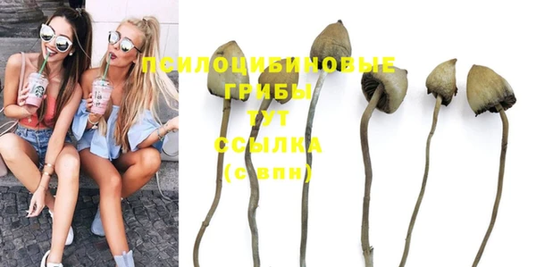 дмт Белокуриха
