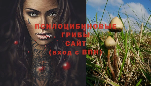 ECSTASY Богородск