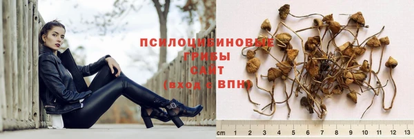 ECSTASY Белоозёрский