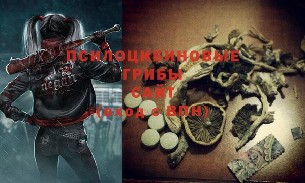 ECSTASY Белоозёрский