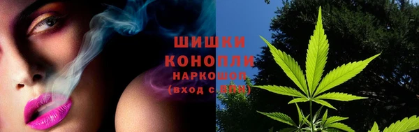 ECSTASY Богородск