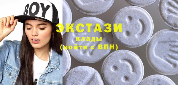 ECSTASY Богородск