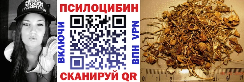 Псилоцибиновые грибы мухоморы  наркотики  Люберцы 
